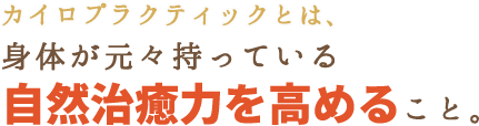 身体が元々持っている自然治癒力を高めること