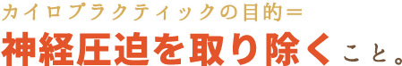 カイロプラクティックの目的＝神経圧迫を取り除くこと